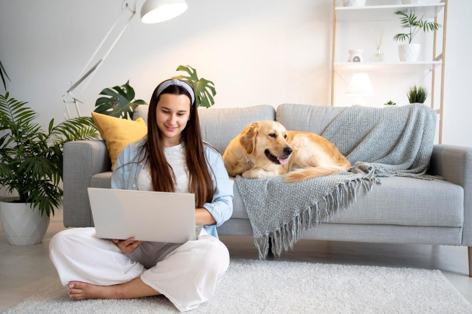 E-commerce analytics and search performance review